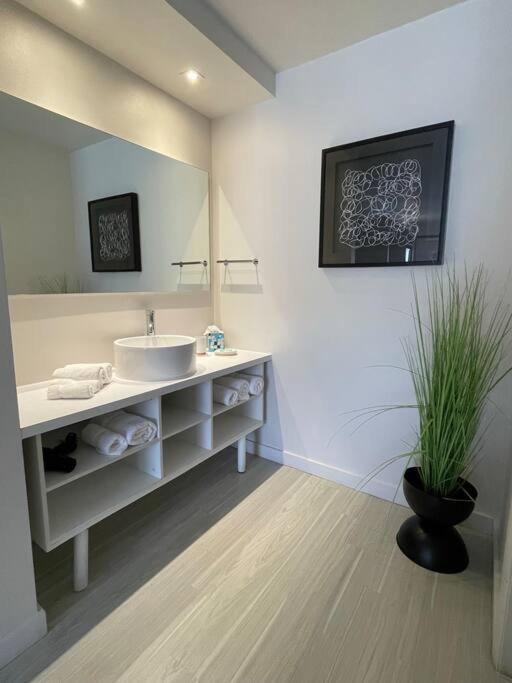 Newly Room In Cozy Hotel With Super Location To The Parks Kissimmee Buitenkant foto